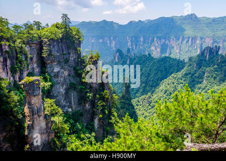 Vista su alte colonne di arenaria e le formazioni in Zhangjiajie national park, Hunan, Cina Foto Stock