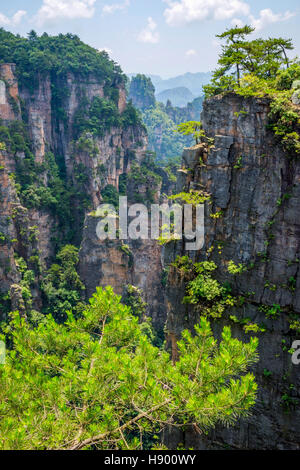 Vista su alte colonne di arenaria e le formazioni in Zhangjiajie national park, Hunan, Cina Foto Stock