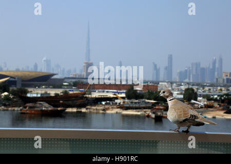 Dubai, Emirati Arabi Uniti Foto Stock