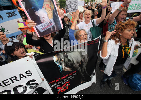 Buenos Aires, Argentina. Xvi Nov, 2016. I manifestanti di dimostrare a favore e contro il Greyhound Racing. Levriero attivisti e gli allevatori si sono scontrati in una protesta al di fuori del Congresso Nazionale, dove i deputati approvato una legge che vieta razze di cani. © Claudio Santisteban/ZUMA filo/Alamy Live News Foto Stock