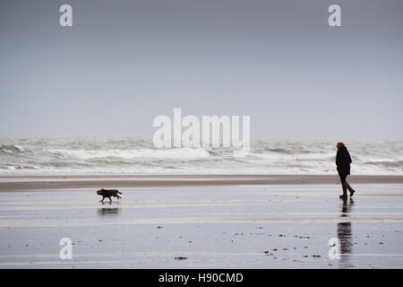 Borth, Cardigan Bay, Ceredigion , Wales UK. Martedì 10 Gennaio 2017 UK Meteo: una donna che cammina il suo piccolo cane sulla spiaggia di Borth sulla West Wales coast su un blustery nuvoloso giorno. Previsioni del tempo per le prossime 25 ore è per sempre più forti venti in gran parte ovest del Regno Unito e per la neve per arrivare dal weekend Credito: keith morris/Alamy Live News Foto Stock