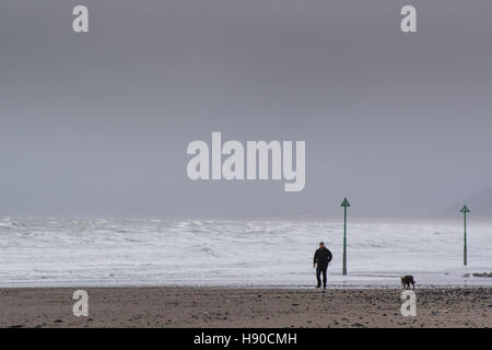 Borth, Cardigan Bay, Ceredigion , Wales UK. Martedì 10 Gennaio 2017 UK Meteo: un uomo che cammina il suo cane sulla spiaggia di Borth sulla West Wales coast su un blustery nuvoloso giorno. Previsioni del tempo per le prossime 25 ore è per sempre più forti venti in gran parte ovest del Regno Unito e per la neve per arrivare dal weekend Credito: keith morris/Alamy Live News Foto Stock