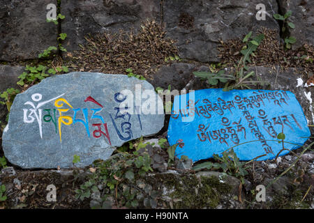 Pietre scolpite con messaggi buddista lungo il percorso a Dharamsala, India Foto Stock