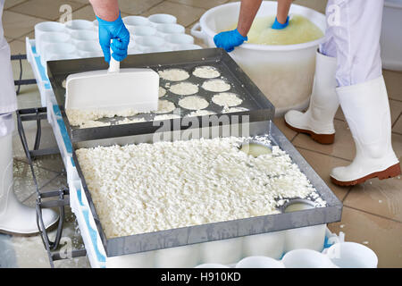 Il riempimento degli stampi per la produzione di formaggio a pasta morbida Foto Stock