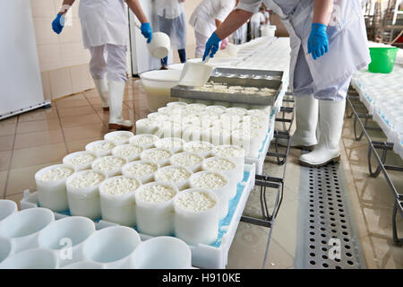 Il riempimento degli stampi per la produzione di formaggio a pasta morbida Foto Stock