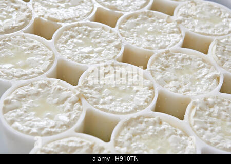 Stampi con semilavorati per la produzione di formaggio a pasta morbida Foto Stock