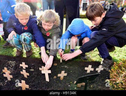 I ragazzi di piantare papaveri sul ricordo Domenica, Haslemere, Surrey, Regno Unito. Il 13 novembre 2016. Foto Stock