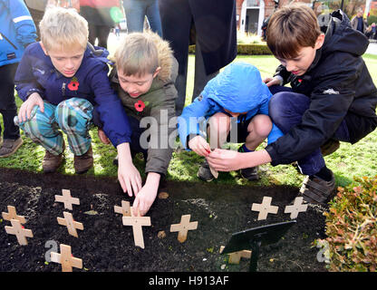 I ragazzi di piantare papaveri sul ricordo Domenica, Haslemere, Surrey, Regno Unito. Il 13 novembre 2016. Foto Stock