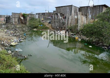 Case nelle mangrovie in PUERTO PIZARRO - Ministero della Tumbes - PERÙ Foto Stock