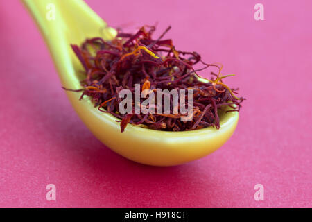 Macro variopinto colpo di zafferano in un cucchiaio di colore giallo su sfondo rosso, spazio copia di sommità e di base Foto Stock