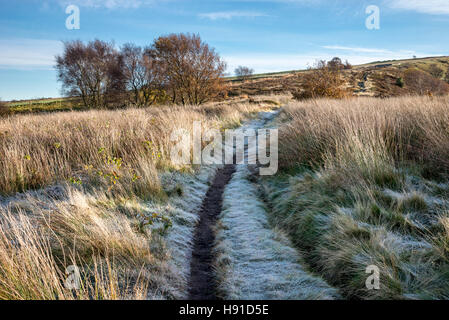 Autunno mattina sulla collina sopra il villaggio di Charlesworth vicino a Glossop, Derbyshire, in Inghilterra. Foto Stock