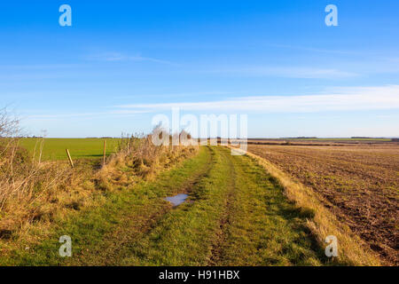 Parte del Minster modo sentiero tra campi coltivati e siepi in scenic Yorkshire wolds paesaggio in autunno. Foto Stock