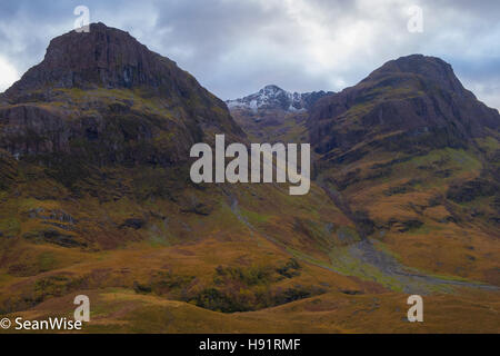 Western Highlands scozzesi Foto Stock