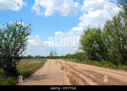 Terreno rurale road passando attraverso un bosco Foto Stock