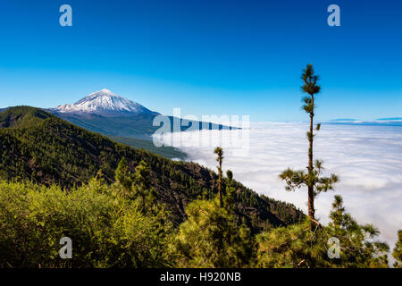 Il monte Teide Tenerife Foto Stock