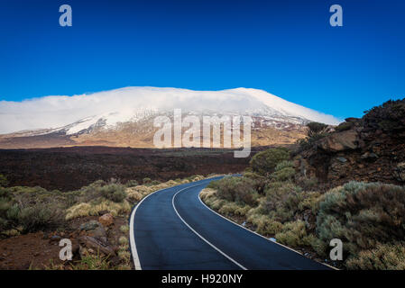 Strada nel Parco Nazionale del Teide Tenerife Foto Stock