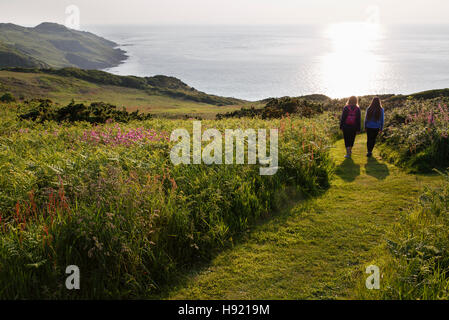 Una serata estiva a piedi sul clifftops sopra Rockham Bay, vicino Mortehoe, Devon. Foto Stock