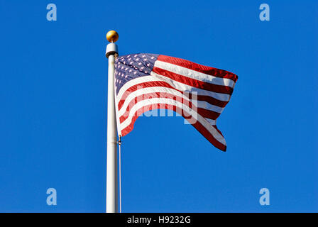 Bandiera degli Stati Uniti d'America su un pennone soffiando in una brezza contro un chiaro cielo blu scuro con spazio per la copia. Foto Stock