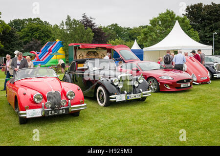 Vintage car show - Jaguar's Foto Stock