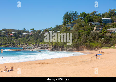 Spiaggia di balena, uno di Sydney spiagge del nord nel periodo estivo, Sydney, Nuovo Galles del Sud, Australia Foto Stock