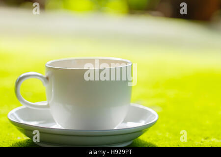 Tazza di caffè sulla superficie di muschio Foto Stock