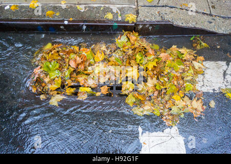 Un parzialmente ostruito storm drain, riempiti con i resti di colorati caduta delle foglie, nel quartiere di Chelsea di New York Martedì, Novembre 15, 2016. Tanto bisogno di heavy rain ha colpito la città di questa mattina gli scarichi di intasamento e provocando la difficile manovra pozzanghere con foglie e altri detriti. (© Richard b. Levine) Foto Stock