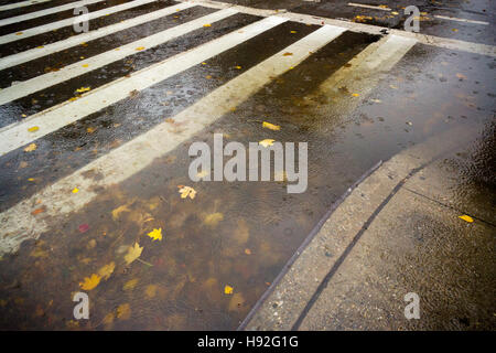 Un marciapiede pozzanghera, ostruito da una tempesta svuotare riempito con i resti di colorati caduta delle foglie, nel quartiere di Chelsea di New York Martedì, Novembre 15, 2016. Tanto bisogno di heavy rain ha colpito la città di questa mattina gli scarichi di intasamento e provocando la difficile manovra pozzanghere con foglie e altri detriti. (© Richard b. Levine) Foto Stock