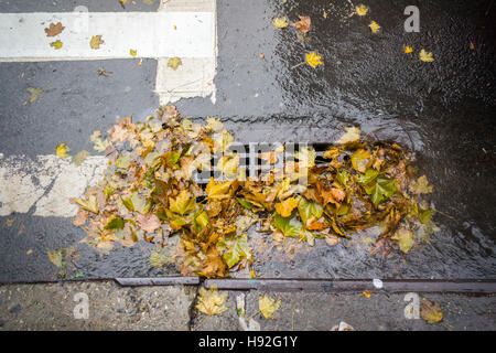 Un parzialmente ostruito storm drain, riempiti con i resti di colorati caduta delle foglie, nel quartiere di Chelsea di New York Martedì, Novembre 15, 2016. Tanto bisogno di heavy rain ha colpito la città di questa mattina gli scarichi di intasamento e provocando la difficile manovra pozzanghere con foglie e altri detriti. (© Richard b. Levine) Foto Stock