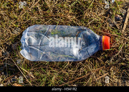 Bottiglia d'acqua con tappo rosa, bottiglia di plastica per animali da 2  litri isolata su bianco con percorso di aggancio Foto stock - Alamy