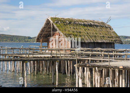 Singola casa stilt Foto Stock