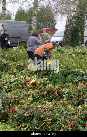 Tenbury Wells holly e asta di vischio Foto Stock