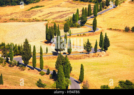 Cipresso strada panoramica a Monticchiello vicino a Siena, Toscana, Italia, Europa. Foto Stock