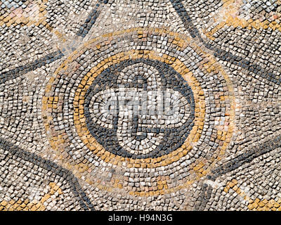 Particolari in mosaico della antica città di Volubilis nel massiccio Zerhoun area del Marocco Foto Stock