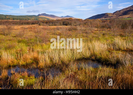 Machrie Moor, Isle of Arran, North Ayrshire, in Scozia Foto Stock