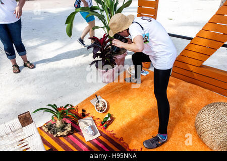 Miami Florida,Bayfront Park,Chipotle cultivate Festival,staff photographer,photographing still life,food,visitors Travel tour touris turistico Foto Stock