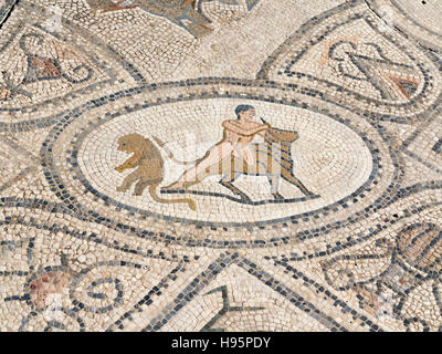 Particolari in mosaico della antica città di Volubilis nel massiccio Zerhoun area del Marocco Foto Stock