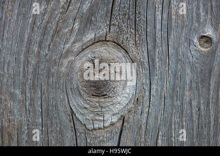 Legno stagionato sfondo rustico Foto Stock