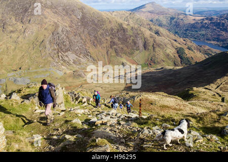 Gli escursionisti escursioni sul ripido sentiero sassoso fino Yr Aran sopra Cwm Llan valle nelle montagne del Parco Nazionale di Snowdonia (Eryri). Gwynedd, Wales, Regno Unito, Gran Bretagna Foto Stock