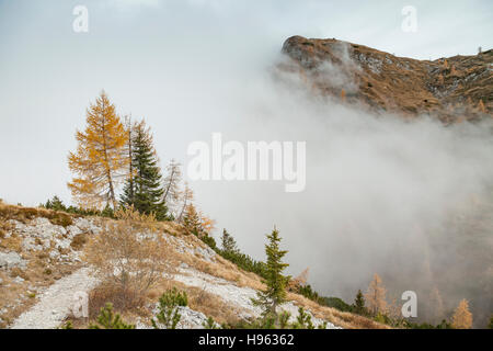 Nebbioso pomeriggio autunnale nelle Alpi Carniche vicino a Sappada, Italia. Foto Stock