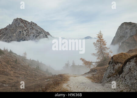 Nebbioso pomeriggio autunnale nelle Alpi Carniche vicino a Sappada, Italia. Foto Stock