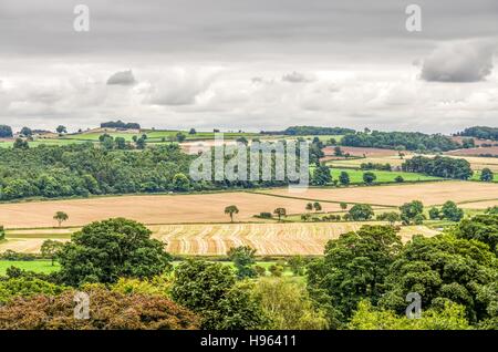 Middleham, North Yorkshire, Inghilterra campagna Foto Stock