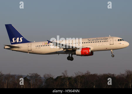 Francoforte, Germania - 27 Febbraio 2016: SAS, Airbus A320 è l'atterraggio all'aeroporto di Francoforte Foto Stock