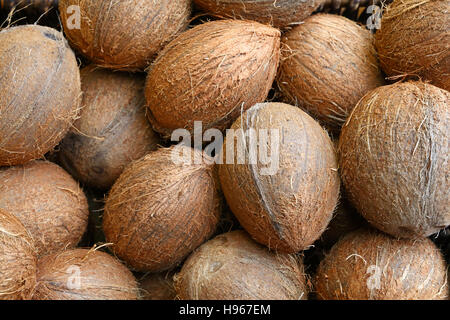 Gruppo di piccole fresco intero di noci di cocco marrone sul mercato retail, vicino ad alto angolo di visione Foto Stock