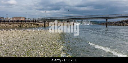 Una vista del molo e barche in Des Moines, Washington. Foto Stock