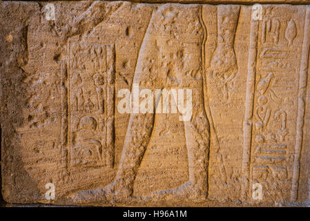 Vere sculture geroglifico sulle mura di un antico tempio egizio. Foto Stock