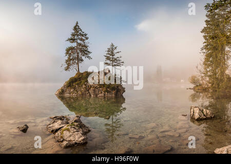 Lago d'autunno con le pietre in acqua e nebbia, paesaggio Foto Stock