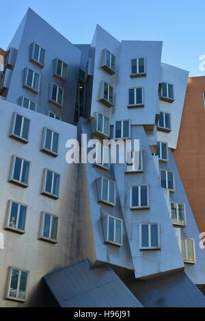 Il Massachusetts Institute of Technology (MIT) iconico centro stata progettata in un piú moderni stile architettonico. Foto Stock