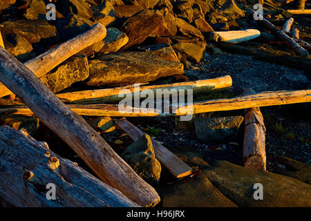 La deriva i registri di legno sparsi nei confronti di un promontorio roccioso sulla Vancouver Island Beach Foto Stock