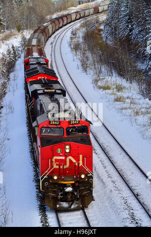 Un'immagine verticale di un Canadian National di treni merci viaggiano a una curva su una pista nelle zone rurali di Alberta in Canada. Foto Stock