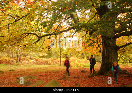 Gruppo familiare godono di paesaggio autunnale Padley Gorge; una bella valle boscosa del parco nazionale di Peak District, England Regno Unito Foto Stock
